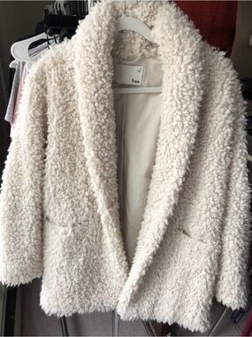 Wilfred Free Aritzia Teddy Coat